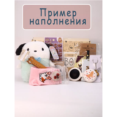 Подарочный бокс для девочки iLikeGift собачка