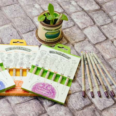 Набор для выращивания Растущий карандаш «Итальянские травы» цветные 6шт/уп.
