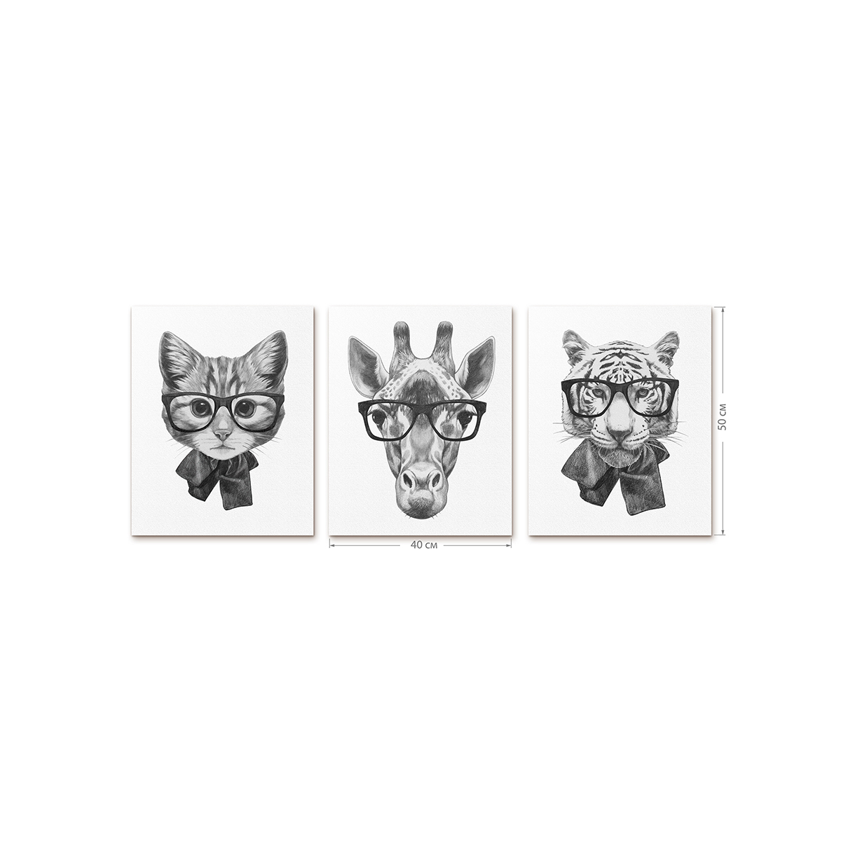 Интерьерный постер Moda interio Funny animals Милые животные 40х50 см 3 шт - фото 2