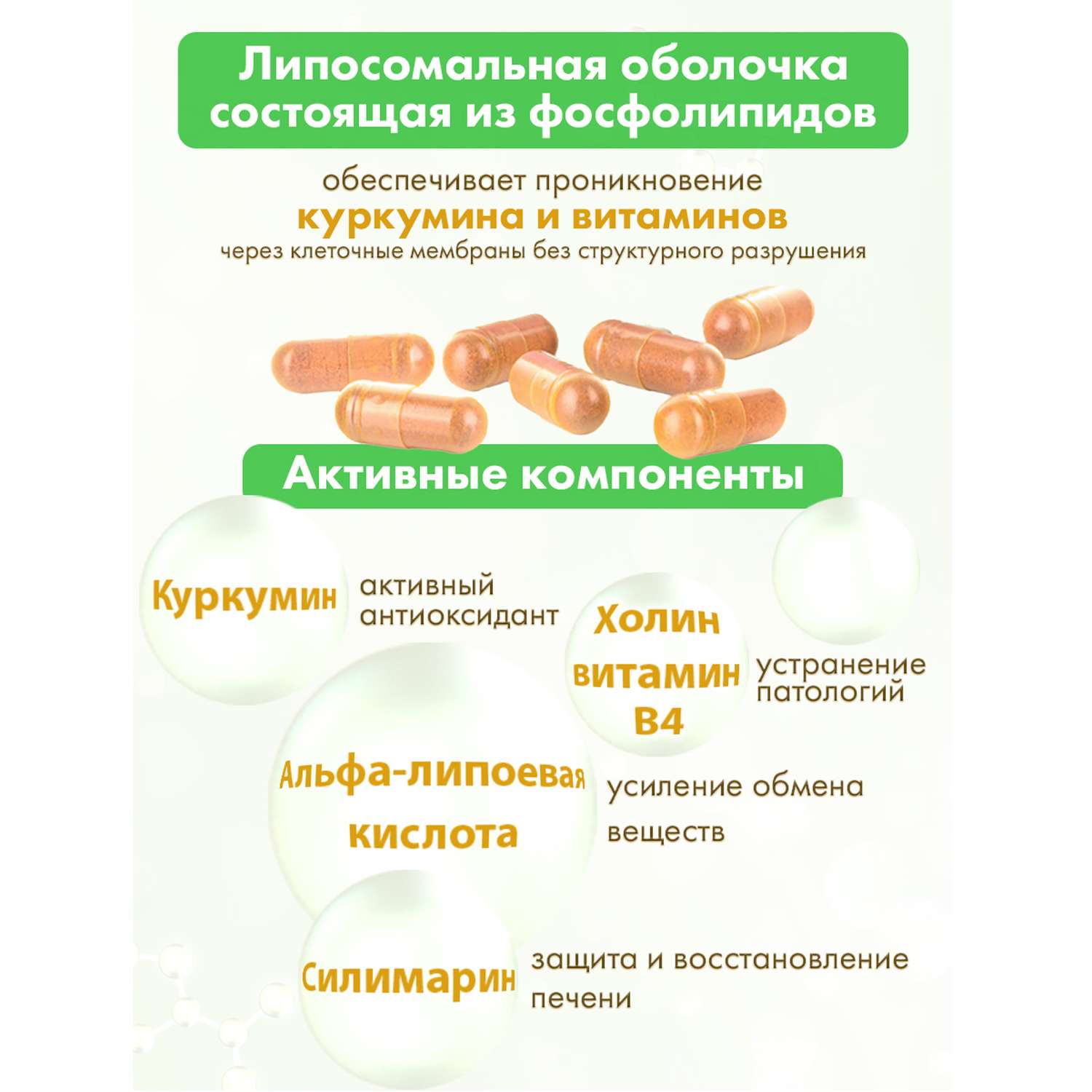 Концетраты пищевые Алтайские традиции Липосомальный куркумин Для печени с силимарином веган 60 капсул - фото 3
