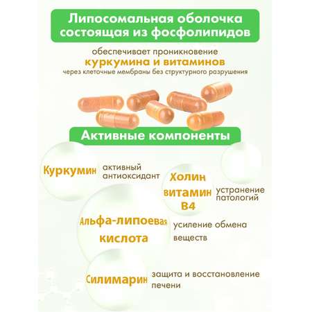 Концетраты пищевые Алтайские традиции Липосомальный куркумин Для печени с силимарином веган 60 капсул