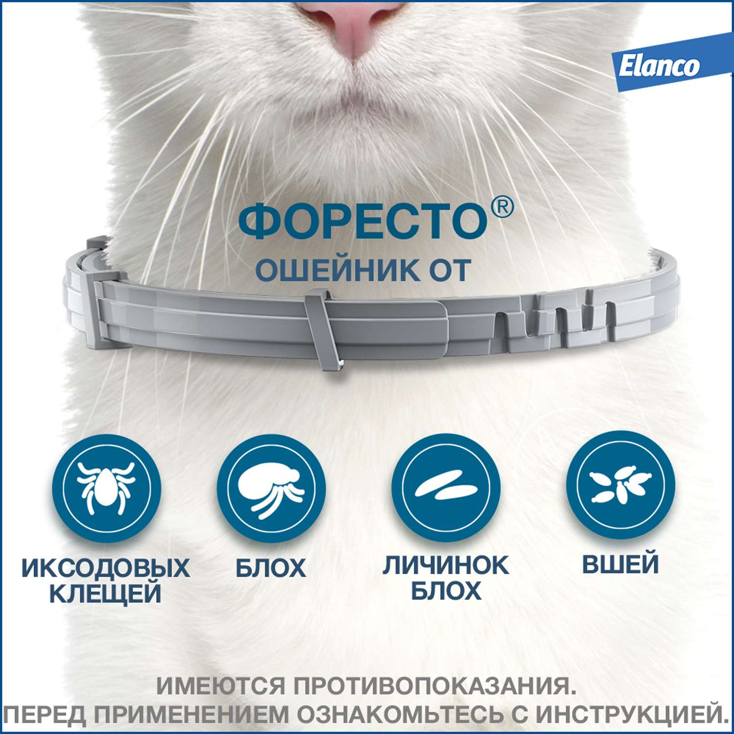 Форест ошейники для кошек. Bayer Foresto ошейник для кошек. Ошейник Байер Форесто. Ошейник от блох Foresto для кошек. Форесто Еланко.