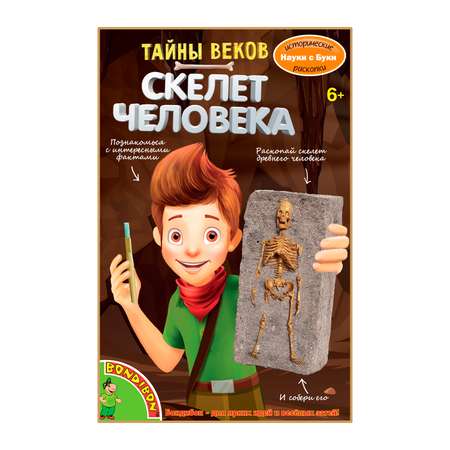 Исторические раскопки BONDIBON Тайны веков Скелет древнего человека серия Науки с Буки