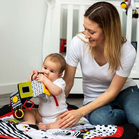Развивающая игрушка Babyono Собери кубик – C-Мore Арт.778