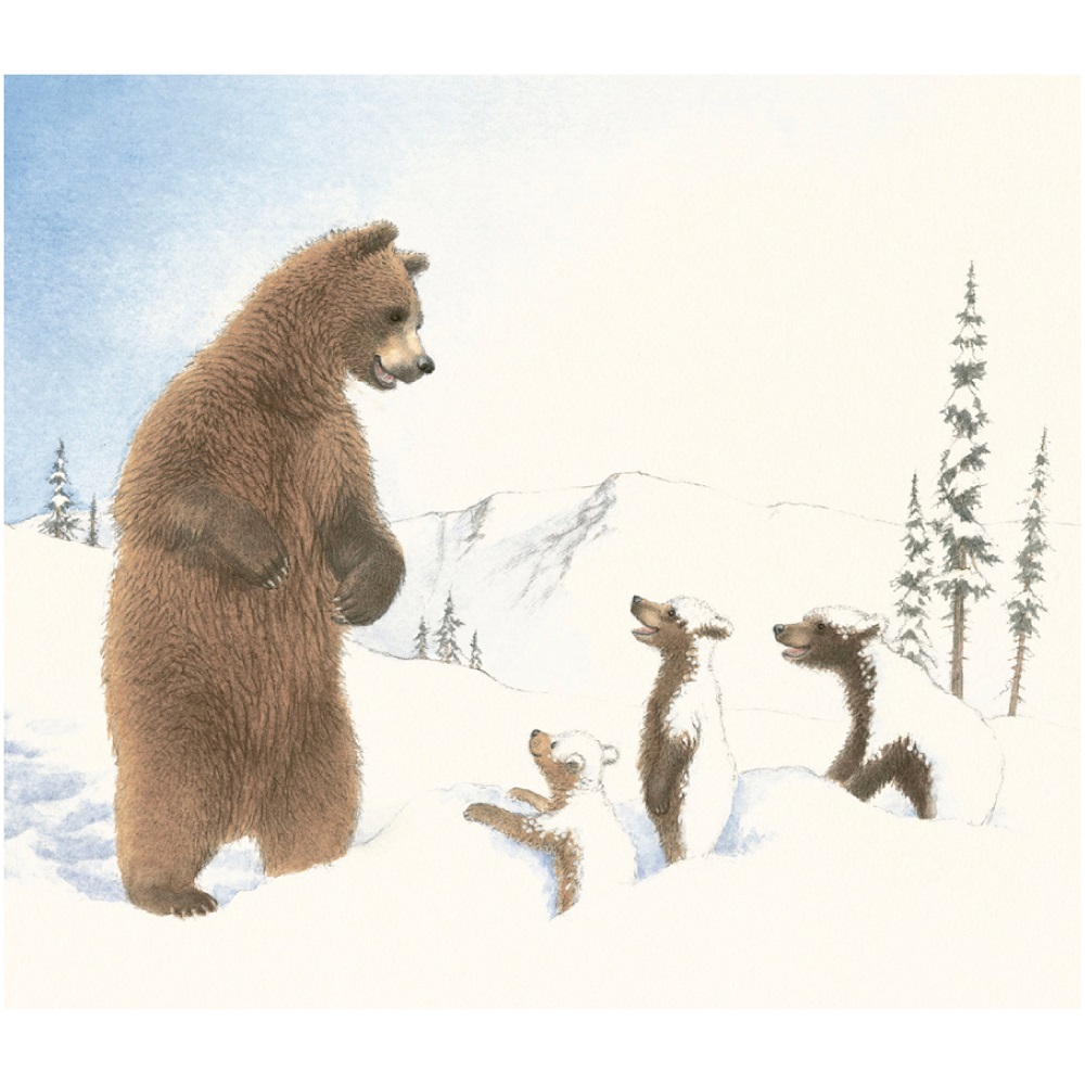 Книга Добрая книга Снежные медведи. Иллюстрации Сары Фокс-Дэвис - фото 7