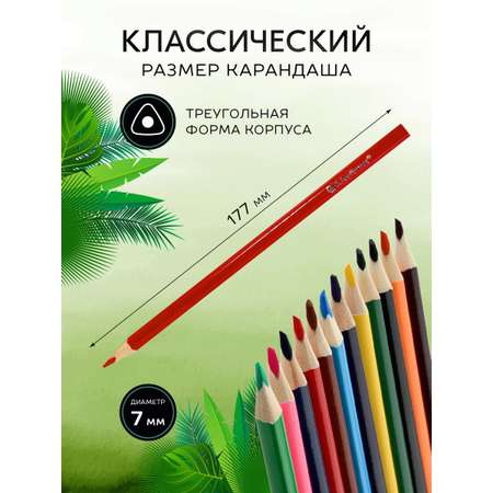 Карандаши SCHOOLFORMAT набор дикая планета 20 цветов трехгранный корпус дерево супермягкий грифель