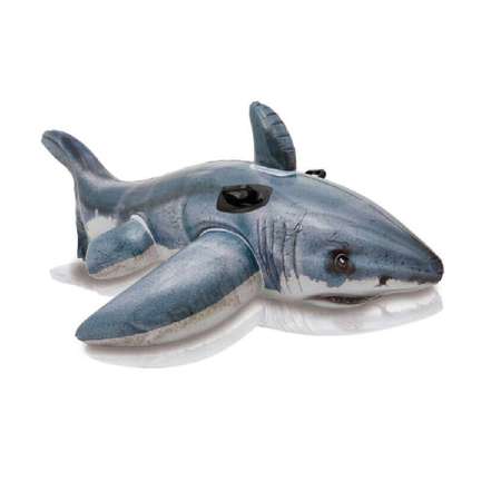 Надувная игрушка INTEX наездник Акула 173х107см 57525NP