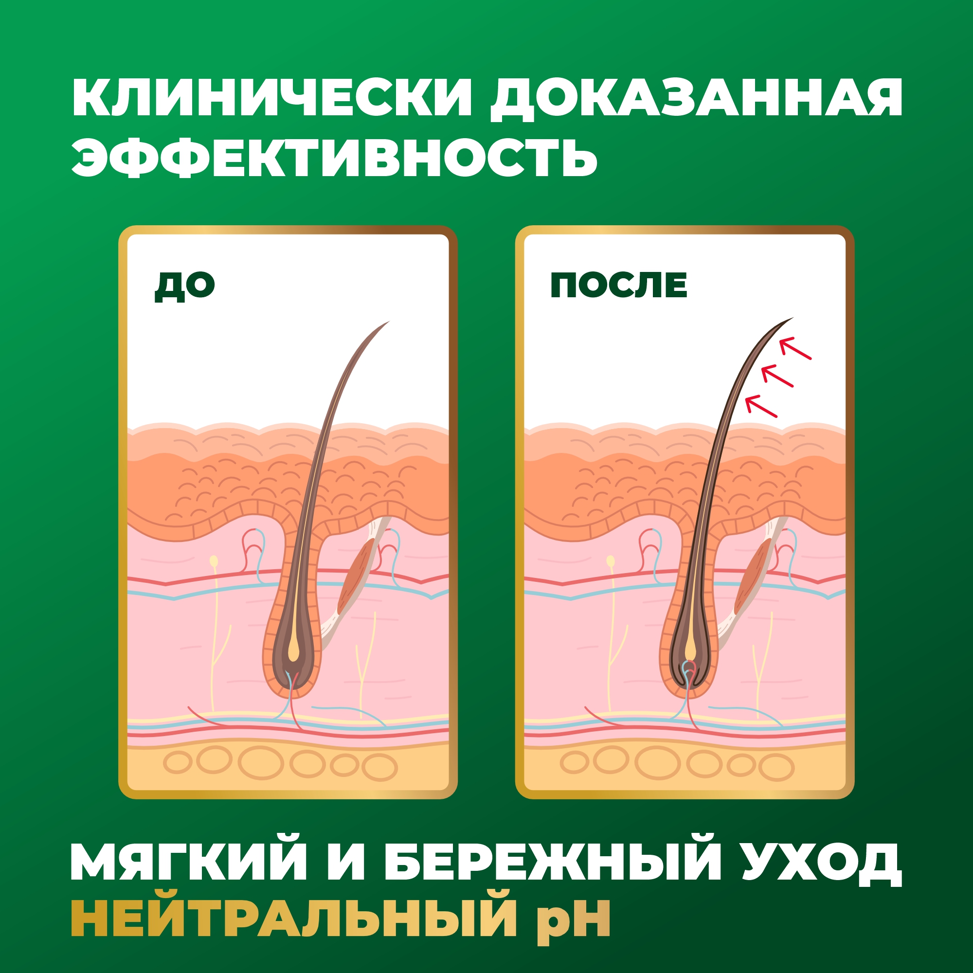 Шампунь Лошадиная сила бессульфатный для роста и укрепления волос с кератином и овсяными аминокислотами 250мл - фото 5