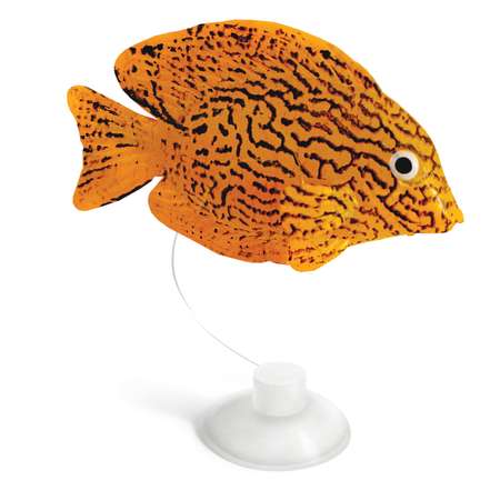 Рыбка для рыб Laguna Гурами декоративная 74054013