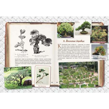 Книга Белый город Занимательная ботаника