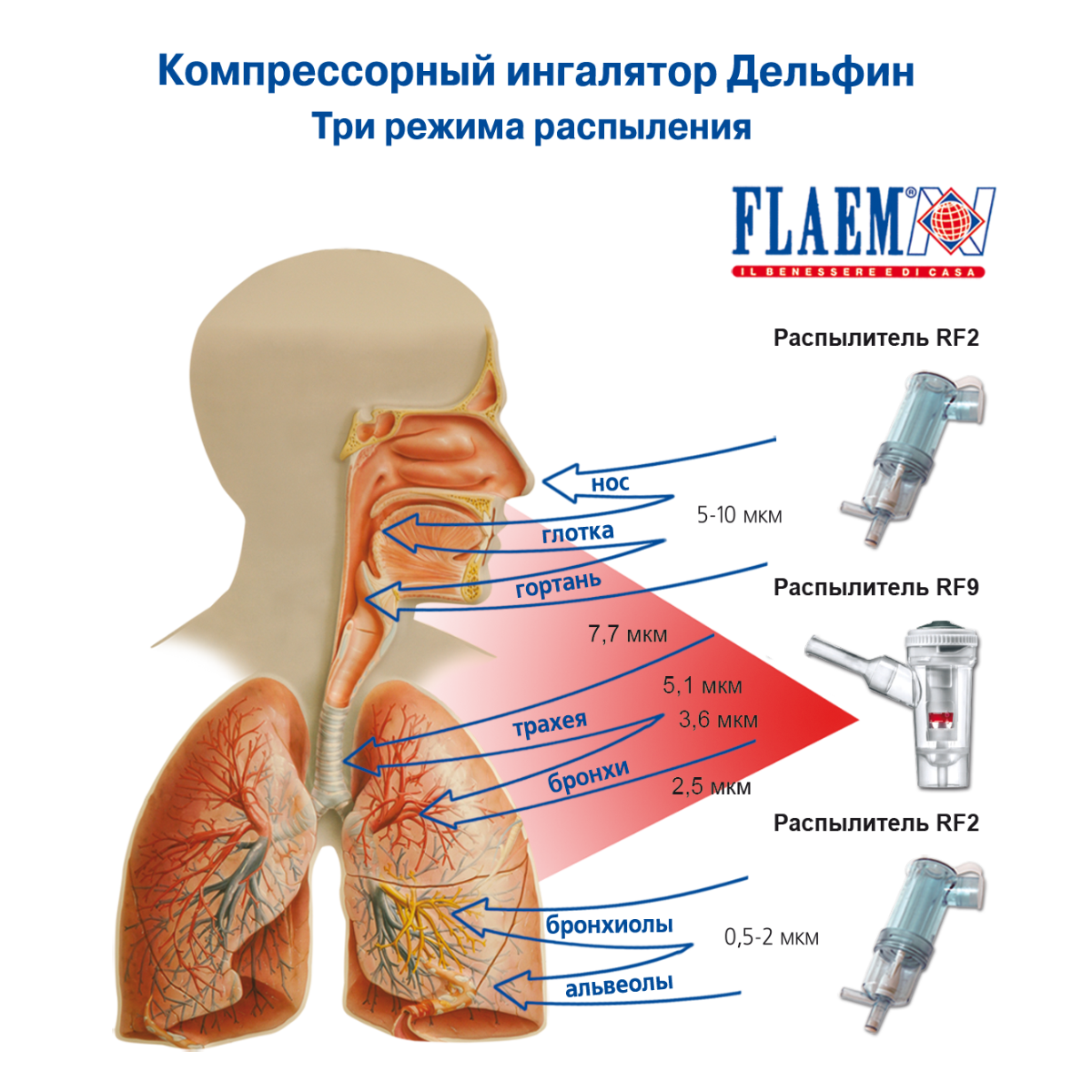 Ингалятор FLAEM NUOVA Компрессорный шестирежимный Дельфин Италия - фото 3