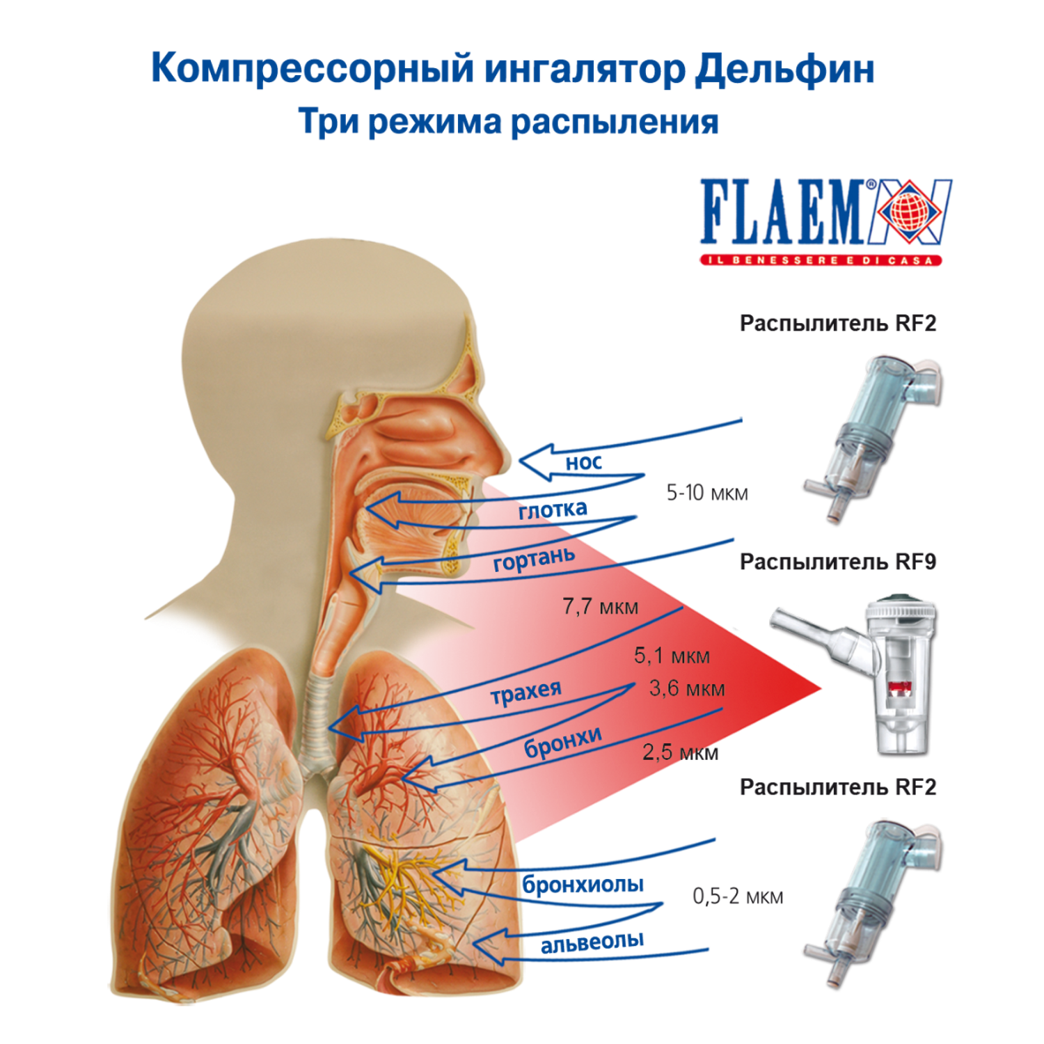 Ингалятор FLAEM NUOVA Компрессорный шестирежимный Дельфин Италия - фото 3