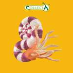 Фигурка Collecta Динозавр Правитоцерас