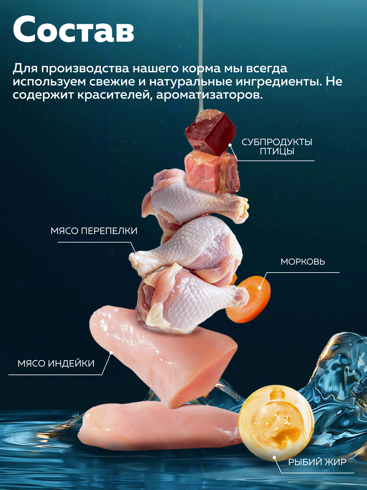 Корм влажный Зоогурман HOLISTIC Перепёлка с рисом и цукини, 100 г х 12 шт - фото 4