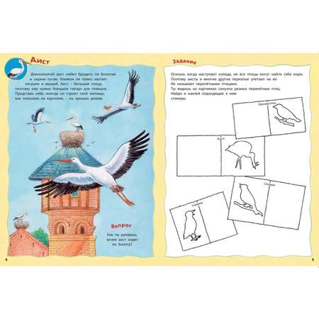 Книга Издательство Энас-книга Как живут птицы?