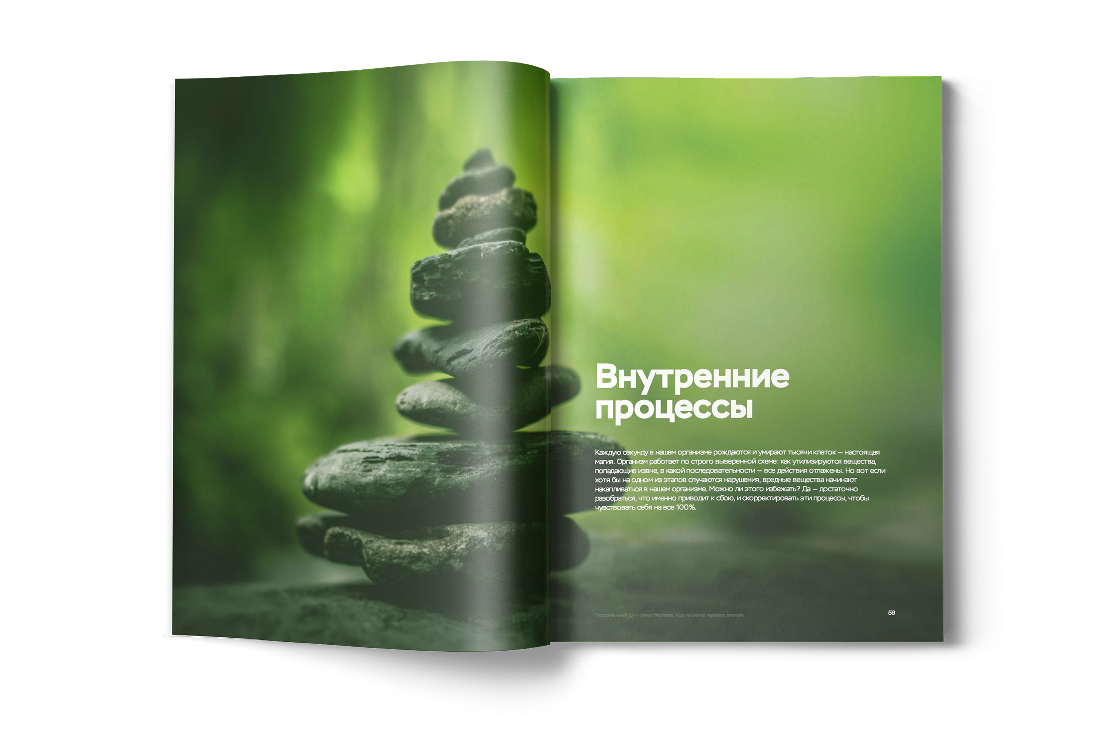 ДНК-тест MyGenetics MyDetox - фото 11