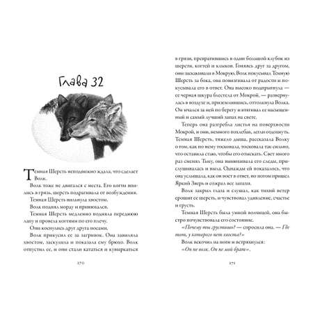 Книга АЗБУКА Хроники темных времен. Книга 5. Клятва мстителя Пейвер М.
