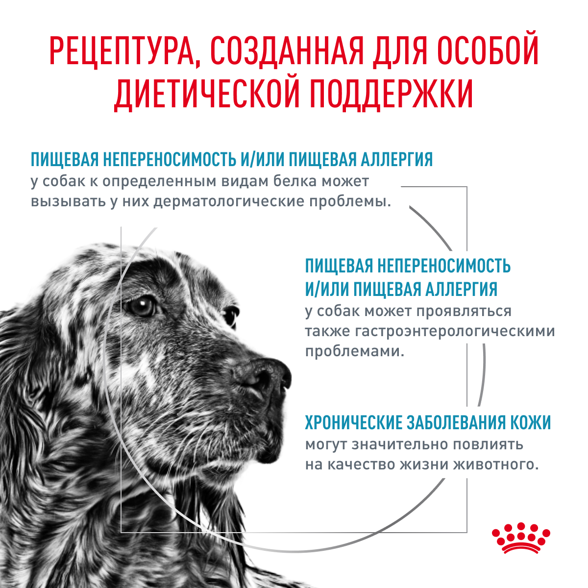 Сухой корм для собак ROYAL CANIN Hypoallergenic 2 кг (при аллергии и заболеваниях кожи, лечебный) - фото 3