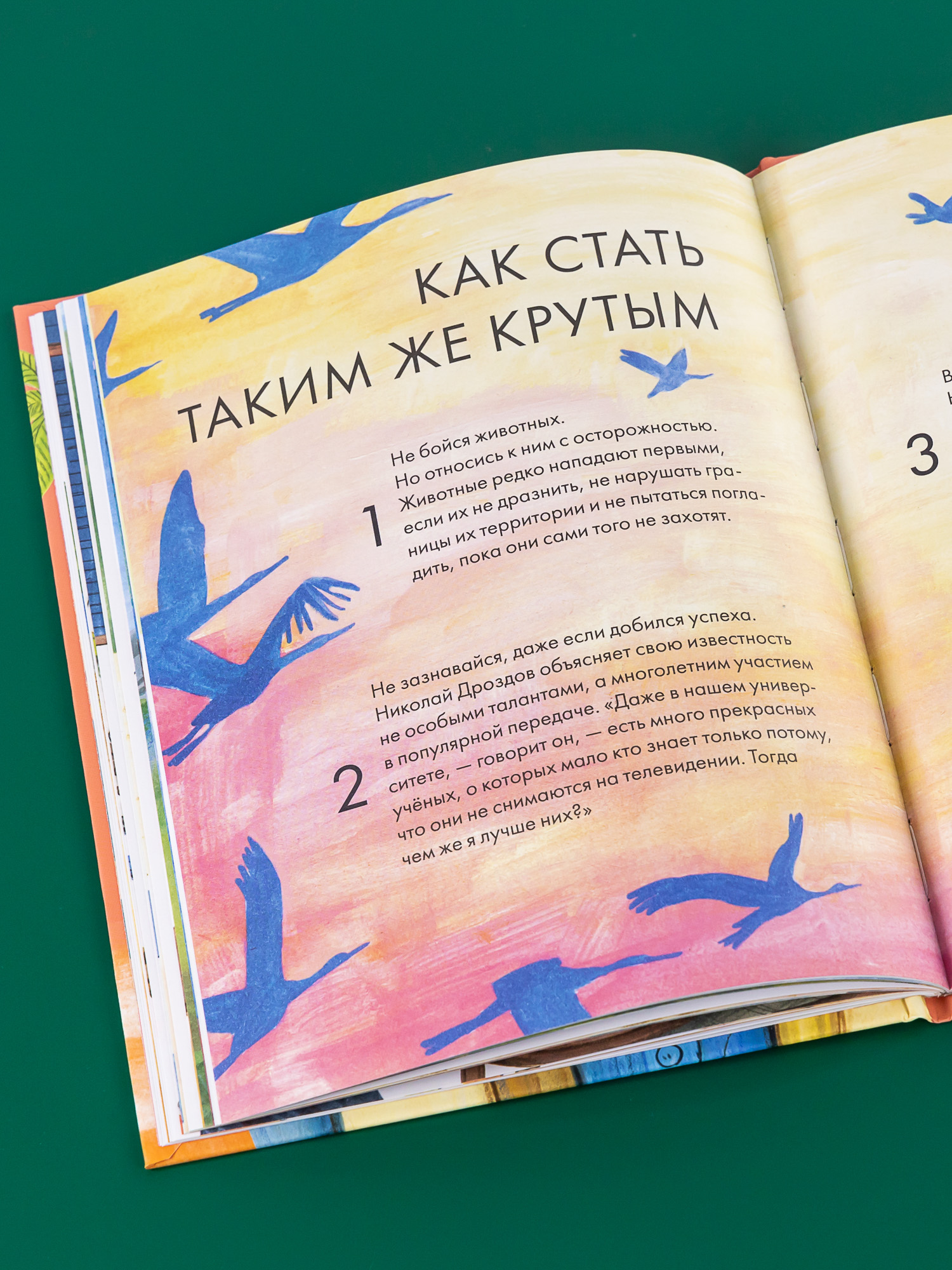 Книга Альпина. Дети Чему я могу научиться у Николая Дроздова - фото 5