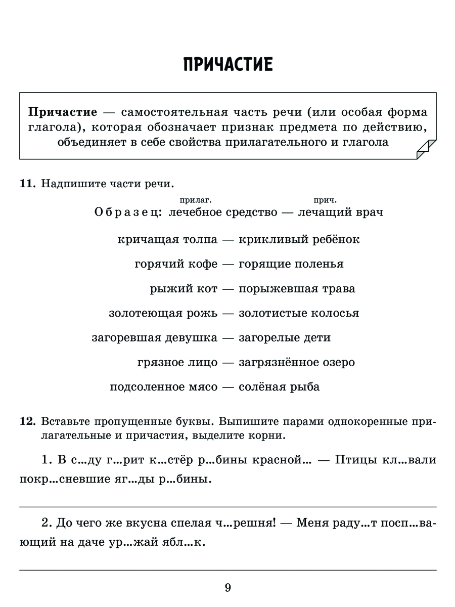 Рабочая тетрадь ИД Литера Все правила русского языка в тренировочных упражнениях с 7 по 8 классы - фото 10