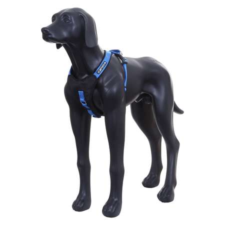 Шлейка для собак ICEPEAK PET L Синий 470302304B350L