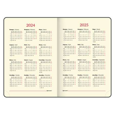 Ежедневник Brauberg датированный 2024 А5 под кожу