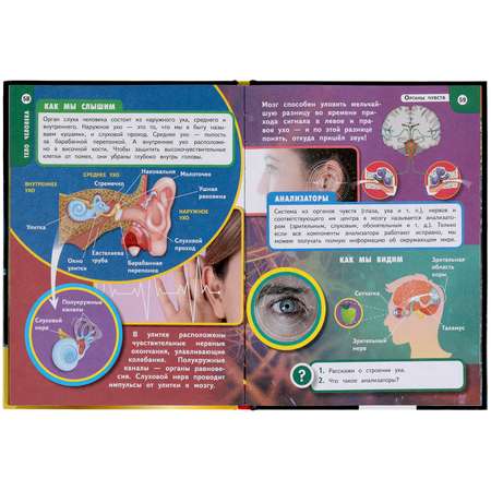Энциклопедия УМка Тело человека. Хочу все знать. Энциклопедия А5