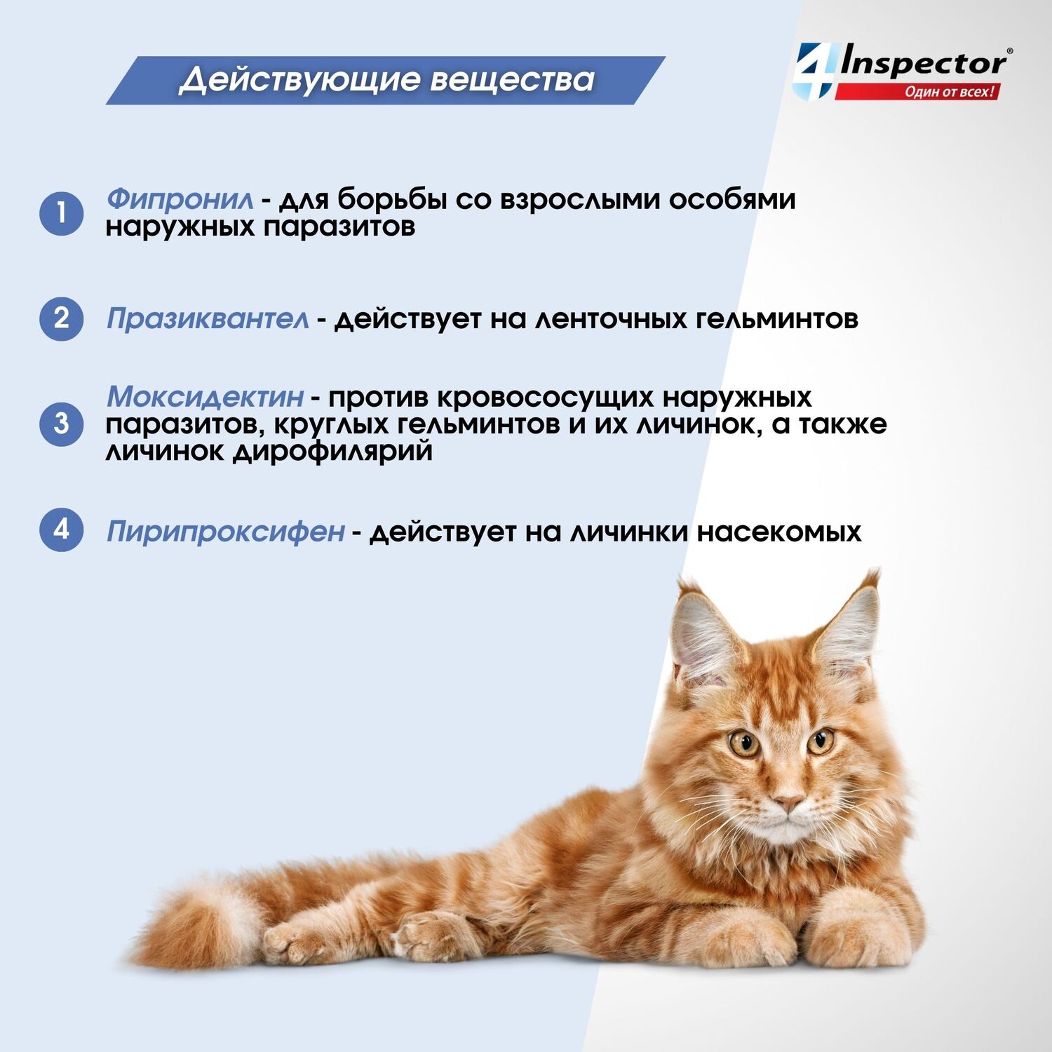 Капли для кошек Inspector Quadro на холку 1-4кг 3пипетки - фото 6