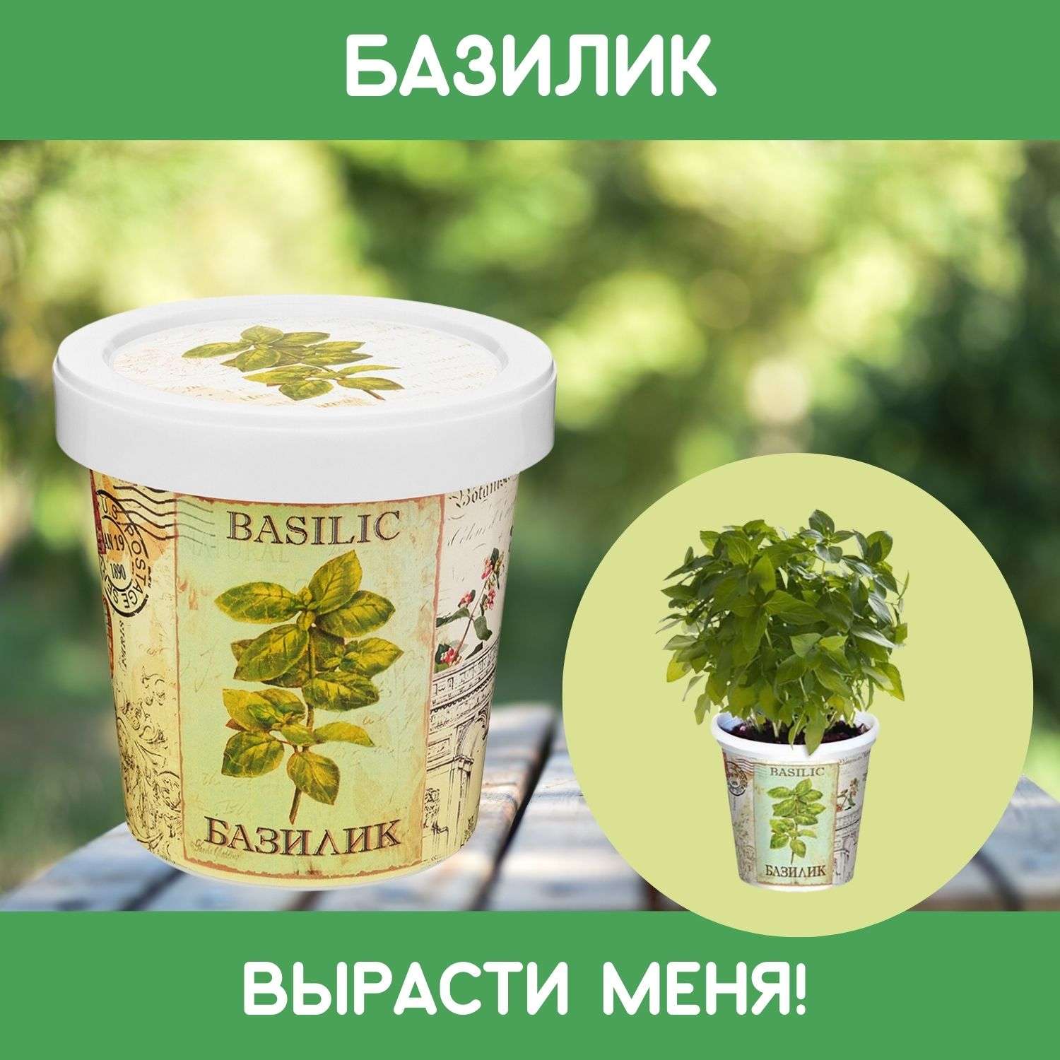 Набор для выращивания растений Rostok Visa Вырасти сам Базилик в подарочном горшке - фото 1