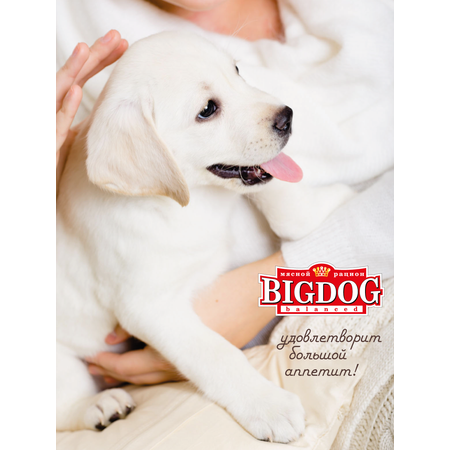 Корм влажный Зоогурман Big Dog Говядина Щенки 850 г х 6 шт.