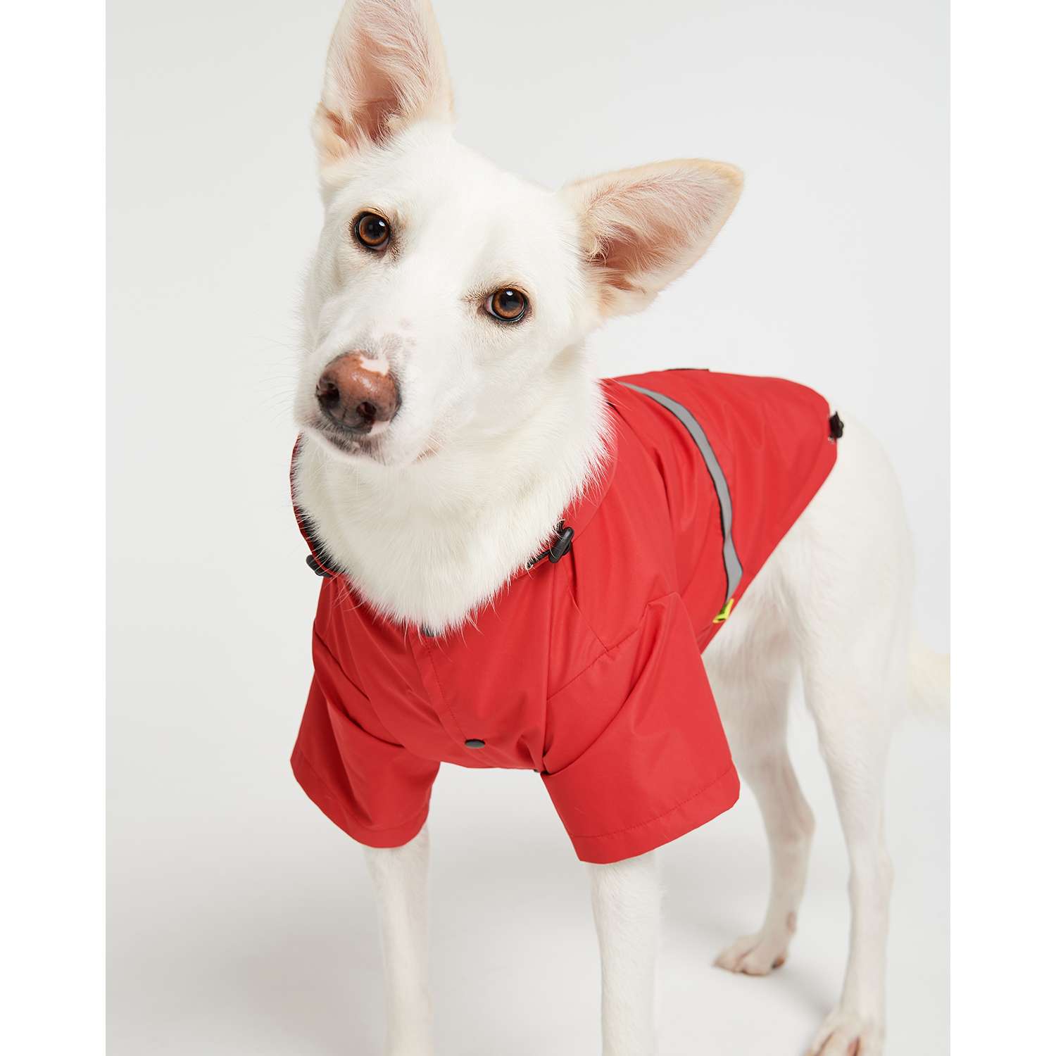 Дождевик-куртка для собак Зоозавр красная 60 - фото 9