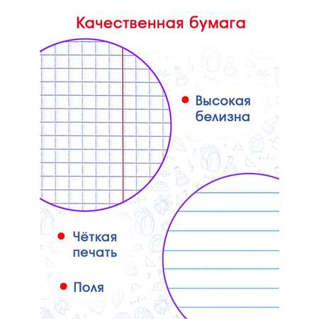 Тонкая тетрадь Hatber 18 л клетка и линия 20 шт