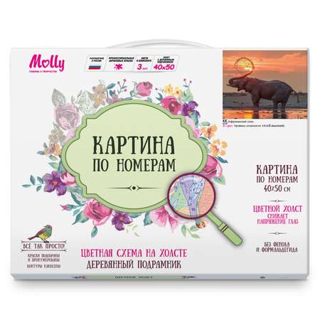 Картина по номерам Molly Африканский слон