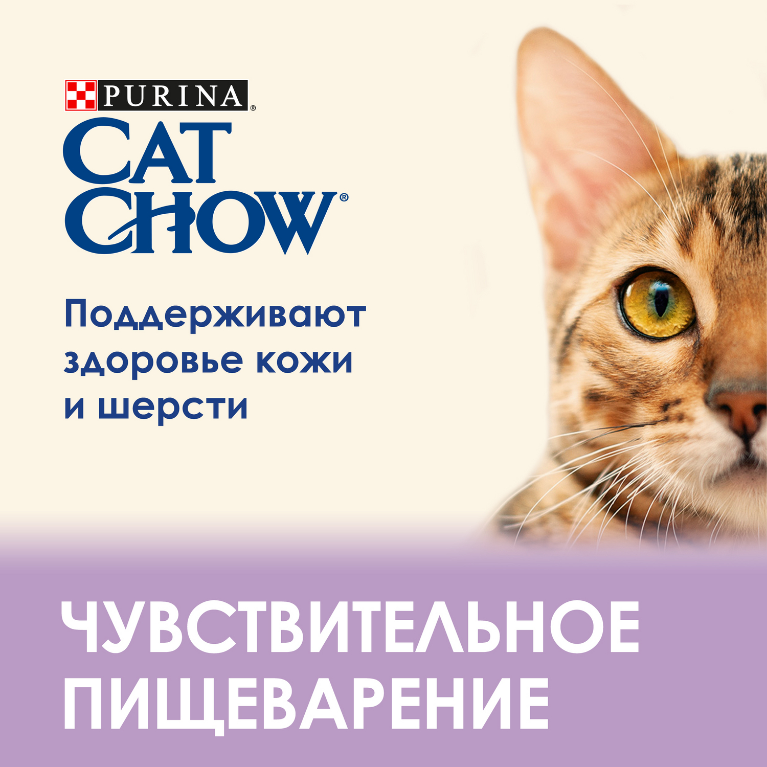 Корм сухой для кошек Cat Chow 15кг с лососем при чувствительной пищеварительной системе - фото 6