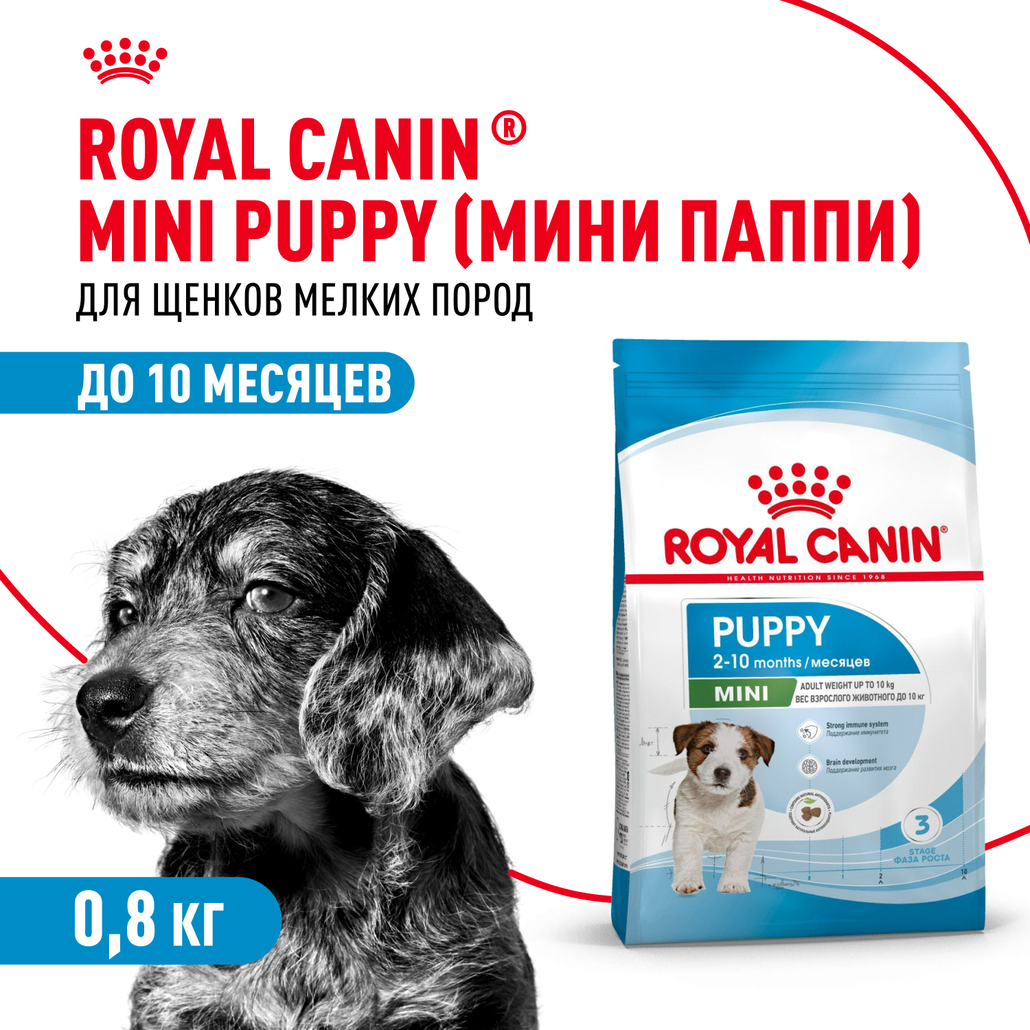 Корм для щенков ROYAL CANIN Puppy мелких пород 800г - фото 1