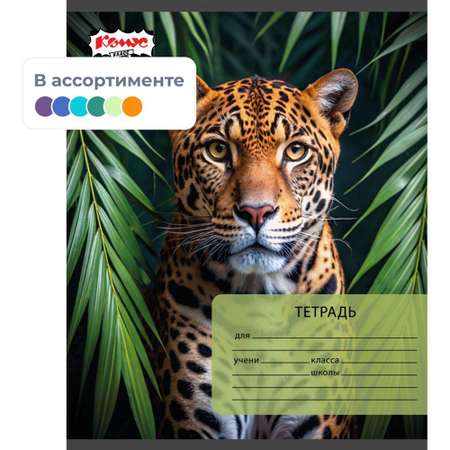 Тетрадь школьная Комус А5 клетка 24л 10 штук Дикие животные