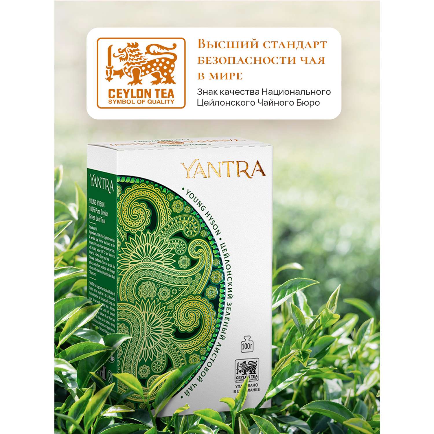 Чай Классик Yantra зеленый листовой стандарт Young Hyson 100 г - фото 3