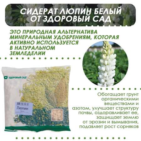 Семена сидерата Здоровый Сад Люпин белый сорт Дега 15х0.5 кг