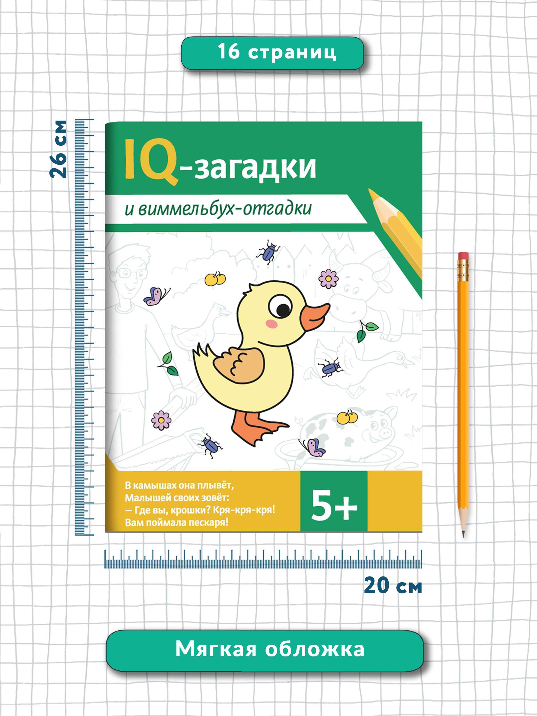 Книга ТД Феникс IQ-загадки и виммельбух-отгадки: 5+ - фото 7