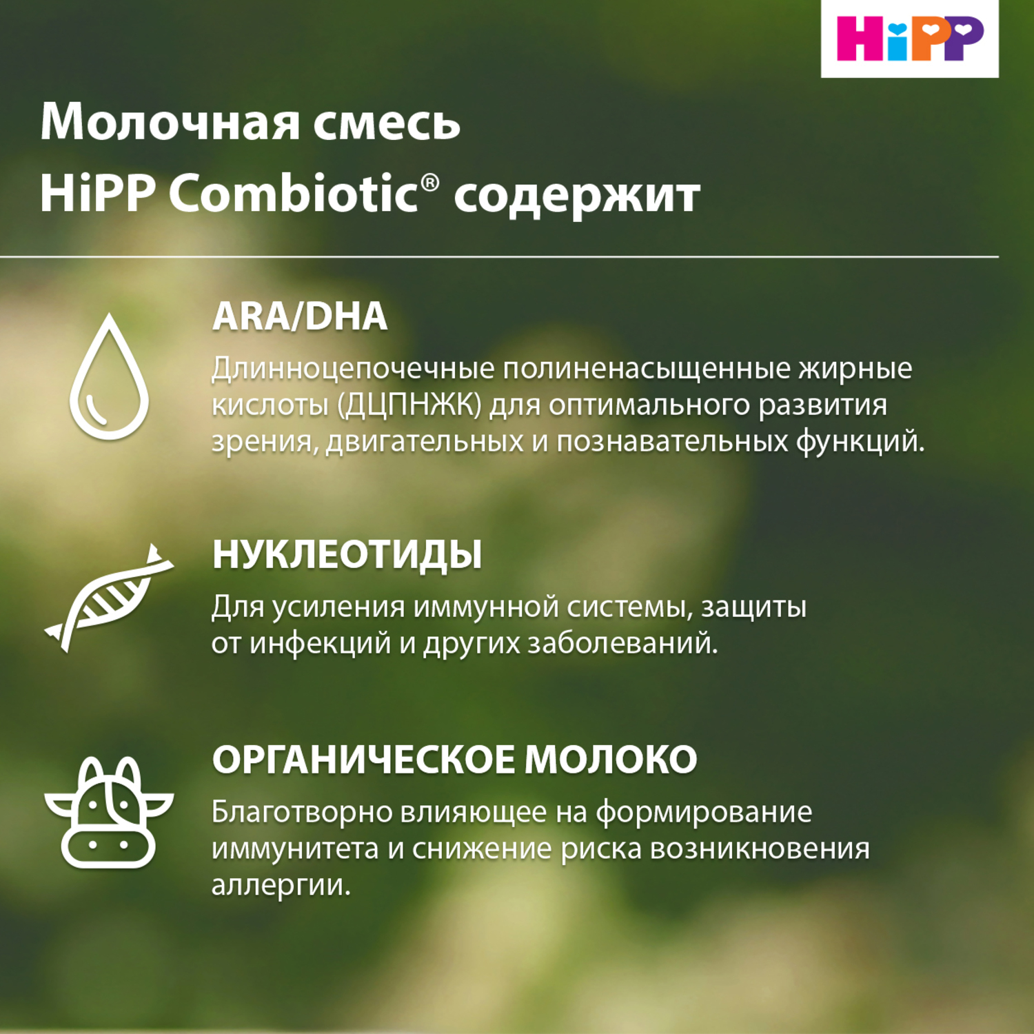 Смесь молочная Hipp 1 Combiotic Expert 900г с 0месяцев купить по цене 2183  ₽ в интернет-магазине Детский мир