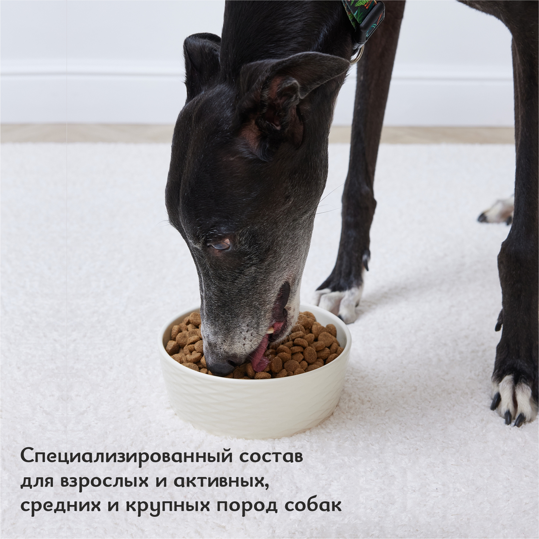 Корм для собак Roybis 1кг с ягненком полнорационный для взрослых активных средних и крупных пород - фото 8