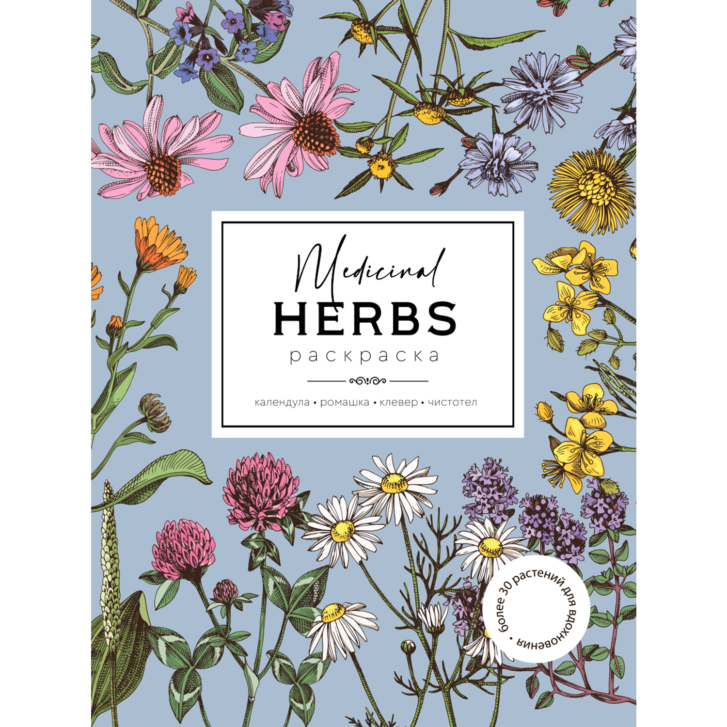 Раскраска Жёлудь Medicinal Herbs Травы медицинские Раскраска вдохновение - фото 1