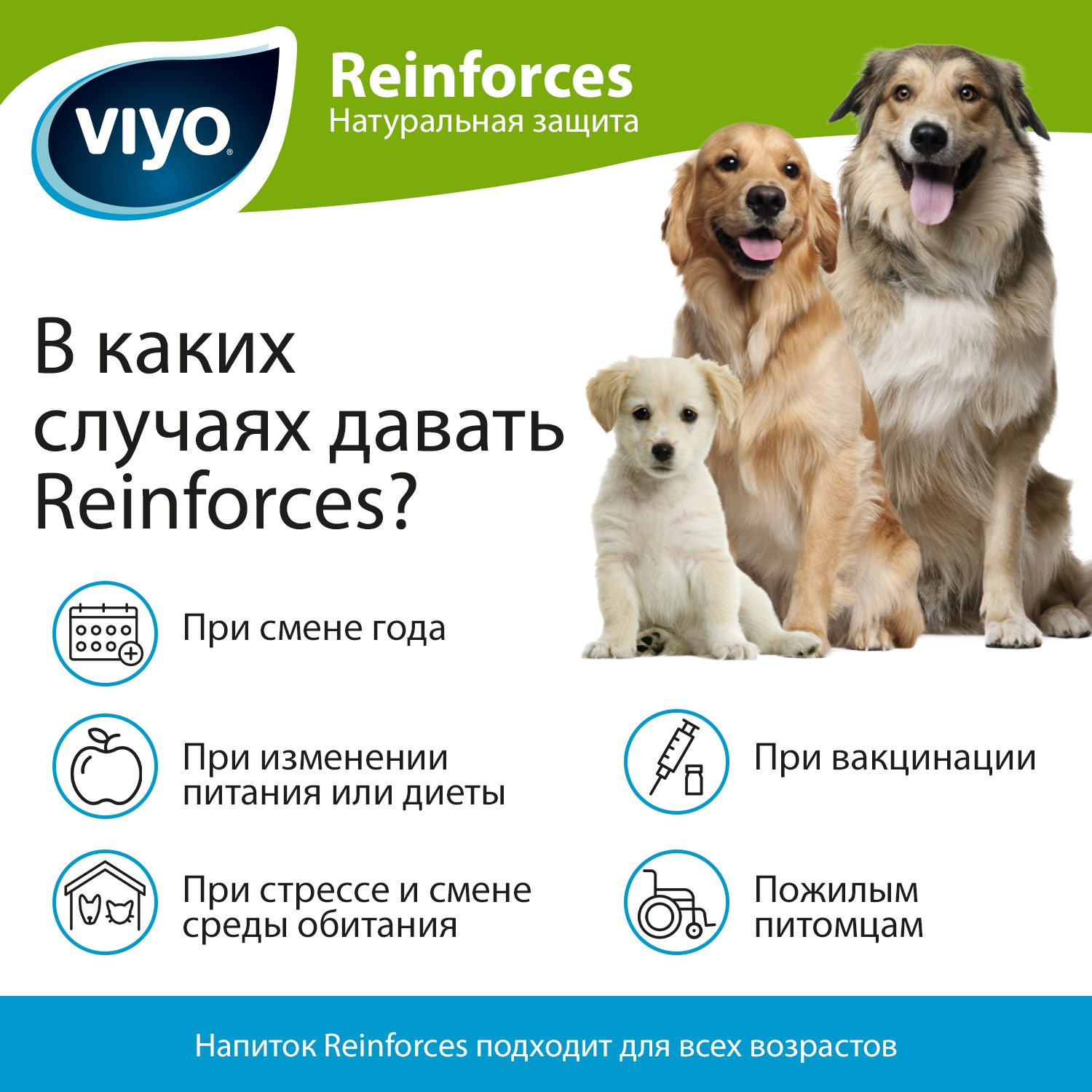 Напиток для собак Viyo Reinforces всех возрастов пребиотический 30мл*7шт - фото 10