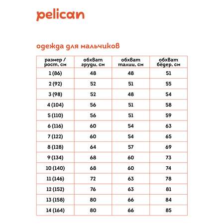 Шорты Pelican