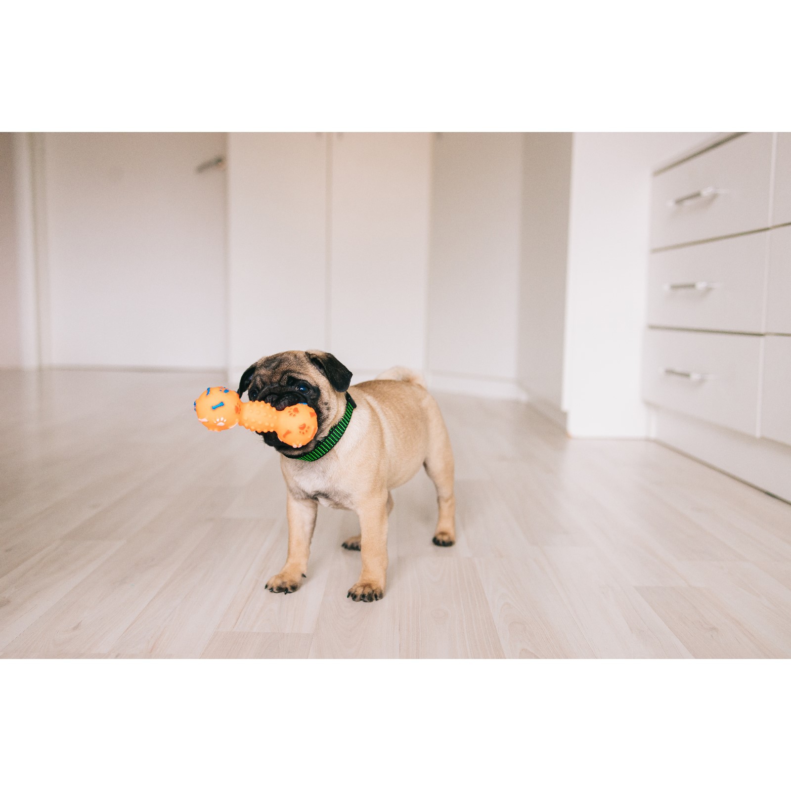 Игрушка Пижон пищащая «Гантель с лапками» для собак 13 см жёлтая - фото 4