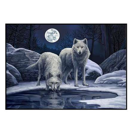Алмазная мозаика Seichi Два белых волка 50х65 см