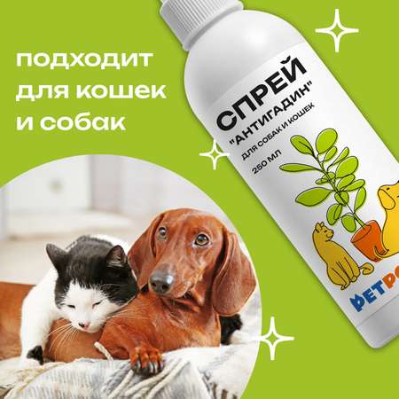 Спрей PETPOWER антивандальный