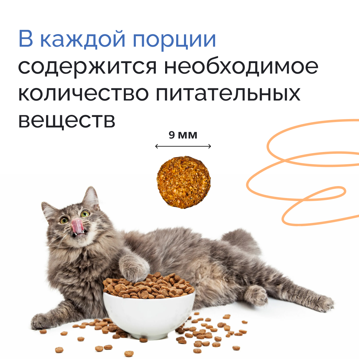 Корм сухой MYSTICAT с рыбой и рисом 2 кг - фото 6
