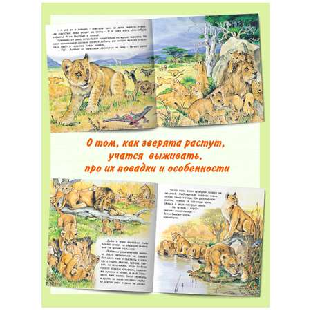 Комплект книг Фламинго Сказки для детей Рассказы о животных Приключения Бельчонка Слоненка Медвежонка Львенка