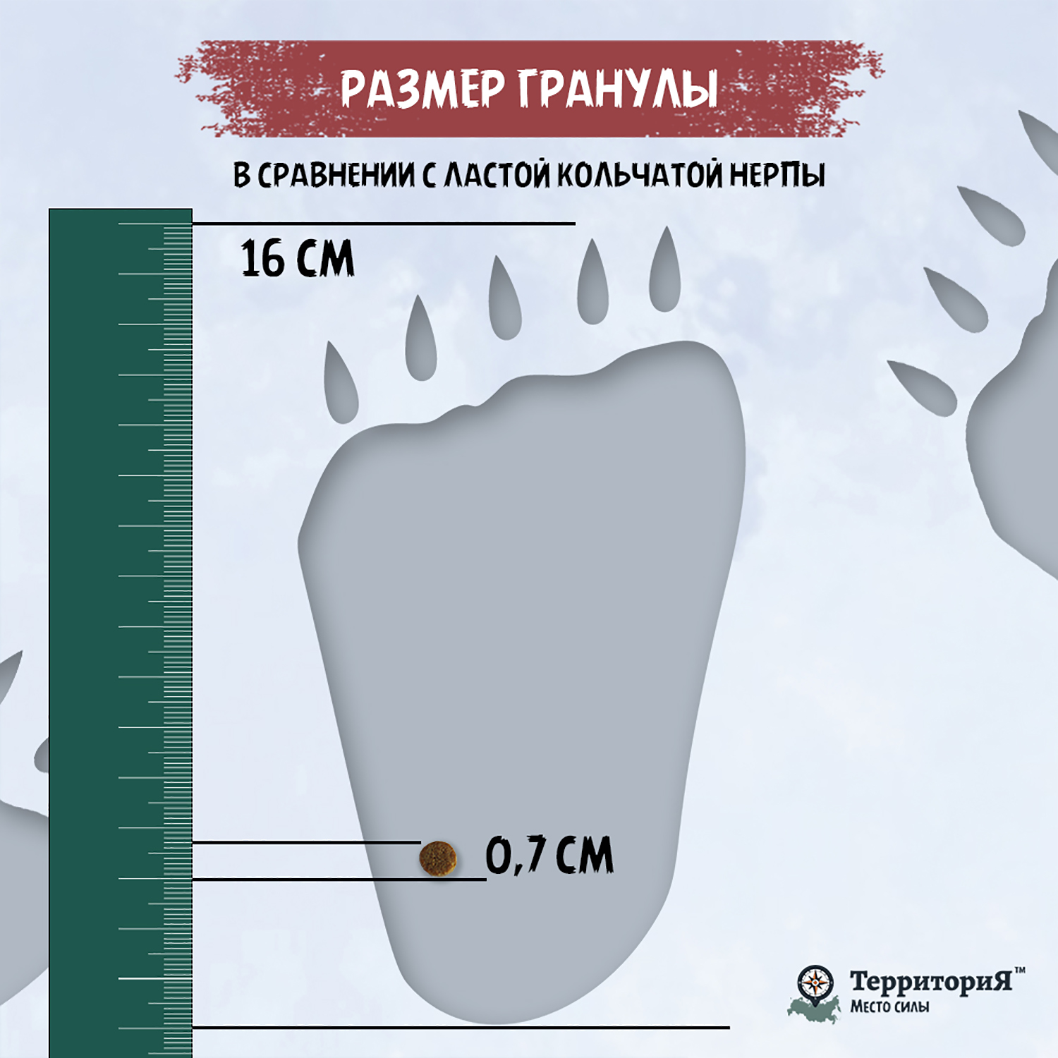 Корм для взрослых кошек Территория Таймыр 0.350кг рыба-брусника сухой - фото 8